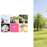 2018年6月16日KazumasaさんMaiさんWeddingアルバム